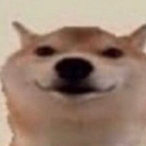 Meet your Posher, Micheal